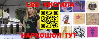 гидра Гатчина