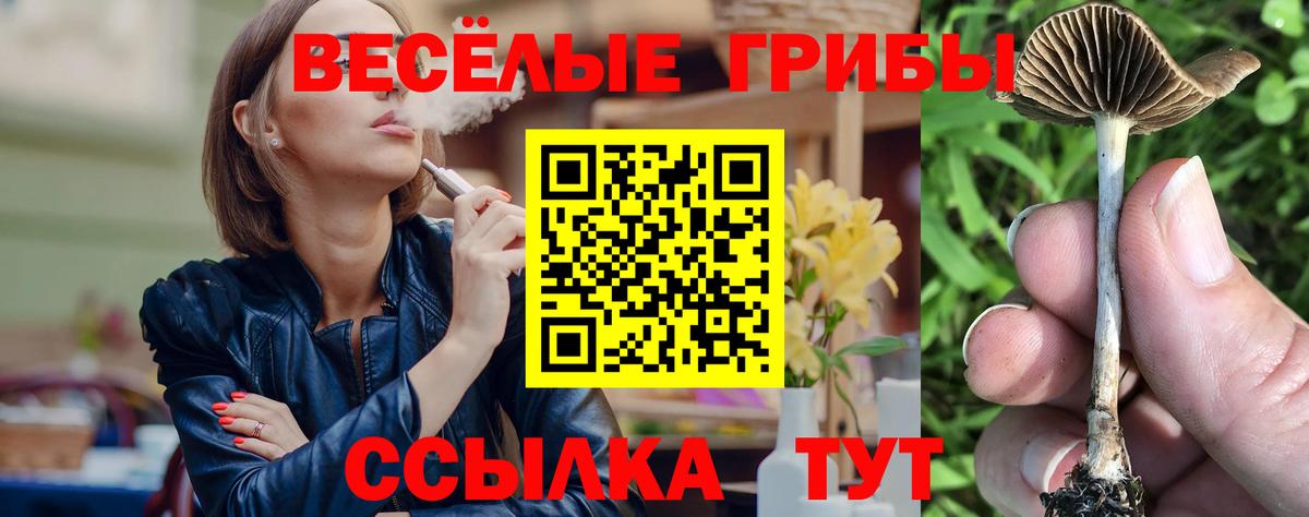Нерюнгри  Псилоцибиновые грибы мухоморы  Вход с VPN 